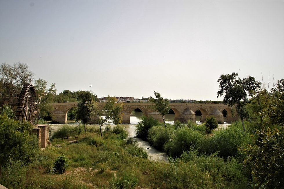 Roman bridge in Cordoba. The colossal waterwheel was used to regulate the amount of water taken from the river for irrigation. Author's personal collection