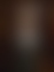 Gemeente Leiden, het directieteam..