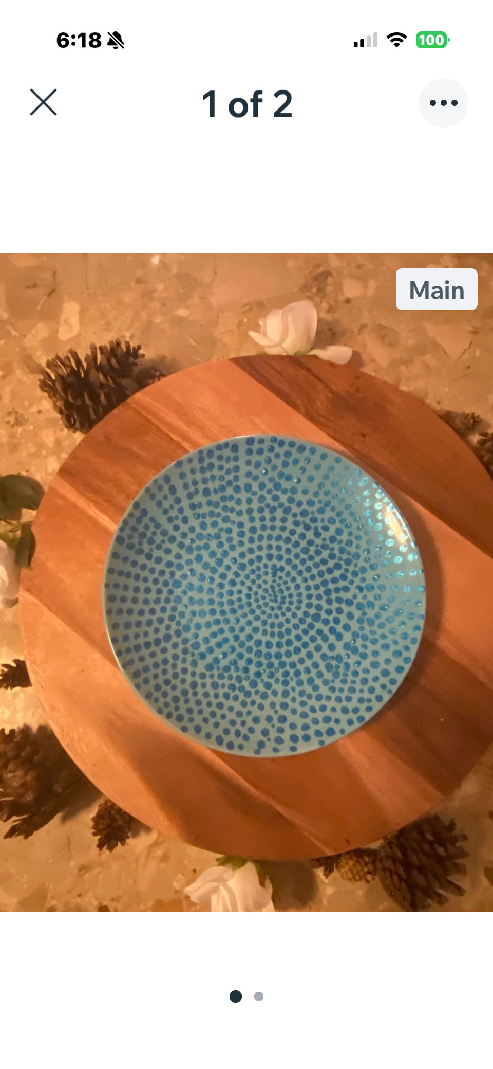 Metallic Dot Abstract Plate Virtual Paint Party (Ages 8+)