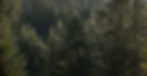 340940893_1368501653722872_232955263928405653_n.jpg