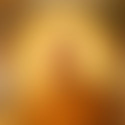 Meaning of 'Rattaññūnaṁ'