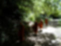 ABECA3EB-F1EF-41FE-94EA-B8BD905CA15D.jpeg