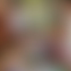 Rejoicing in our 2024 accomplishments, from the Dhammadharini Support Foundation Treasurer