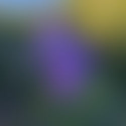 Sharing Blessings: Emerging from Winter Retreat into Spring!