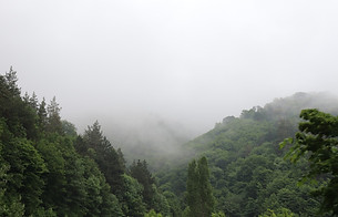 thumbnail_IMG_0386.jpg