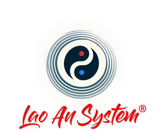 Favorit  - Lao An System (R) FINAL MINIMAL KOMBI fuer TShirt  Genauer freigest Logo 25 mit