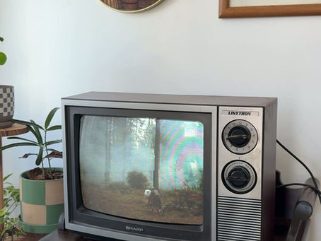 I started watching VHS