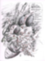 animalisches_38