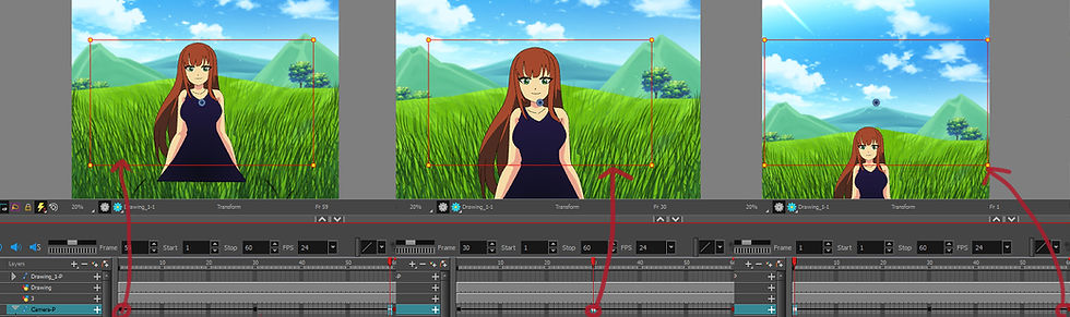 Add background to Toon Boom harmony and move the camera