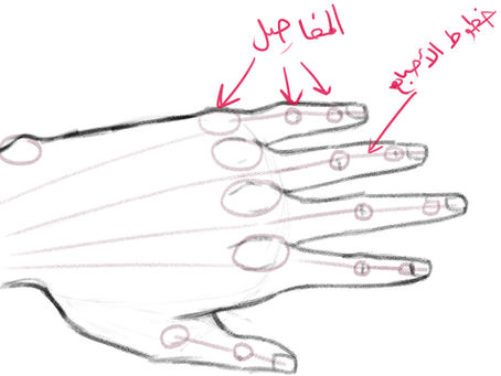 كيف ترسم اليد | رسم يد الانمي بطريقة عملية