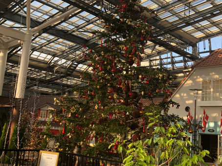 楽描き会安城のスケッチ会