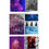 Thumbnail: The Christina Aguilera Rarities (5 CD + Booklet)