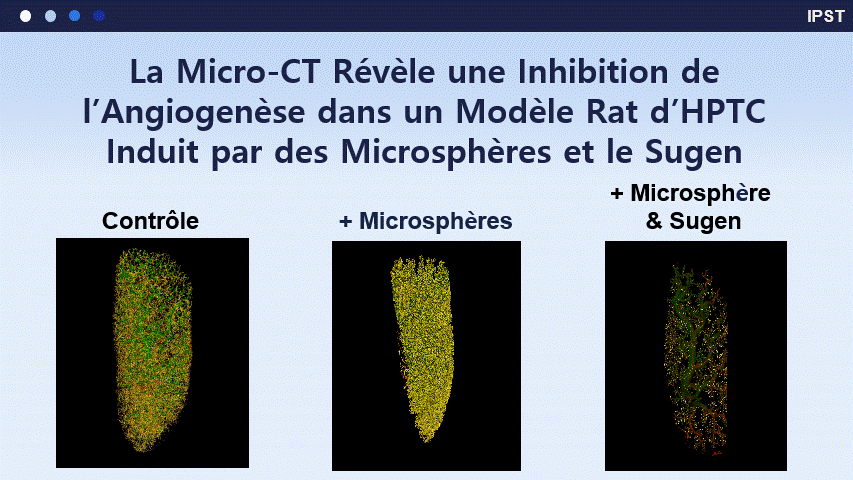 ATS 2025 presentation.gif
