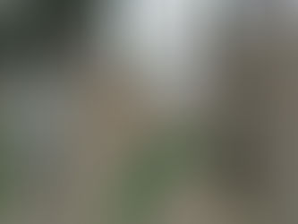 People are refusing to take COVID-19 vaccines, but why?