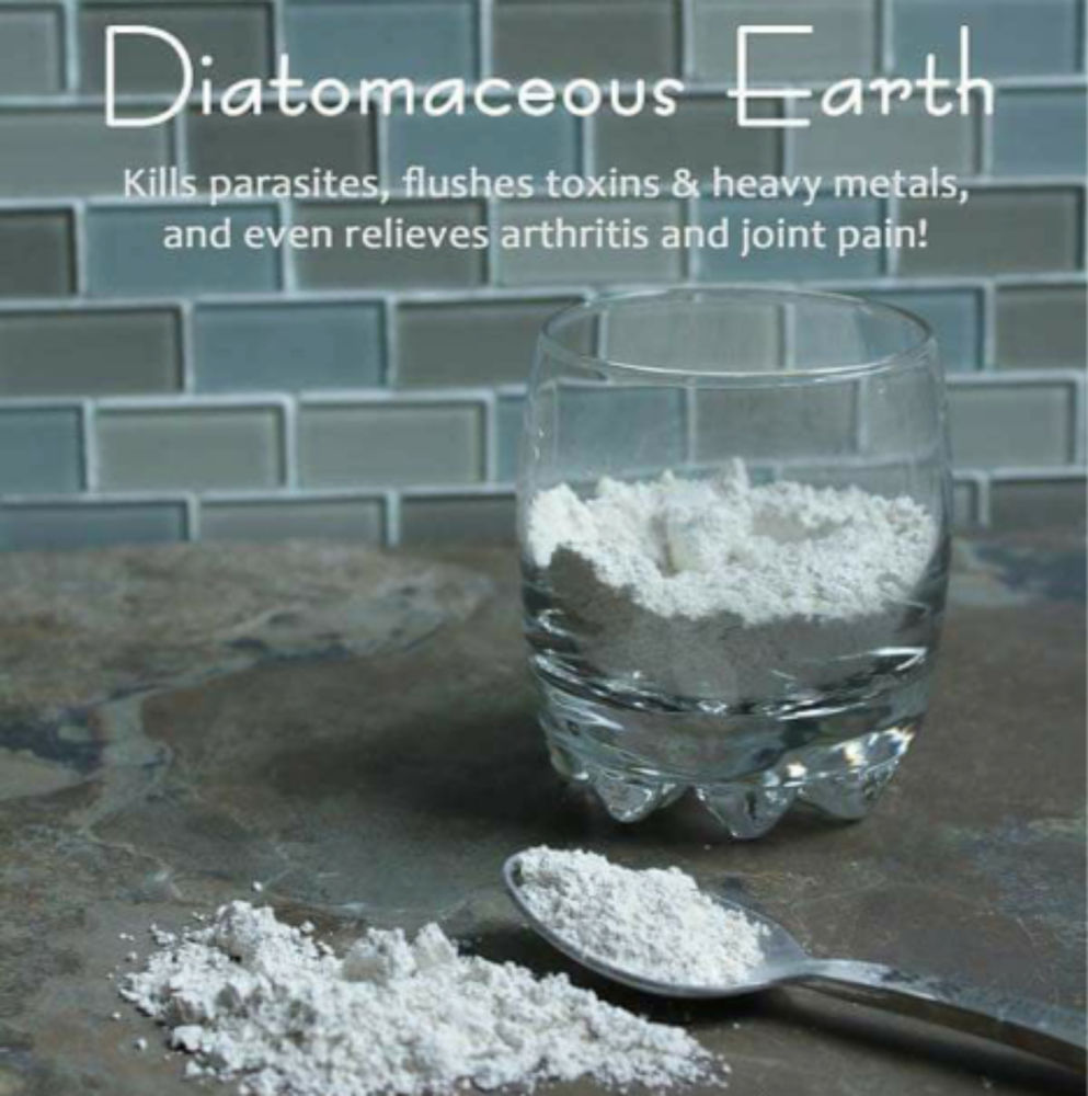 Diatomaceous Earth The Science Behind It