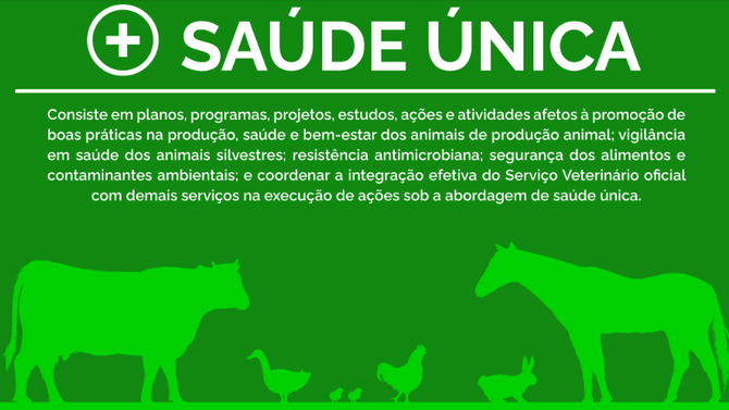 Como o Mapa atua para as boas práticas sustentáveis na pecuária brasileira?