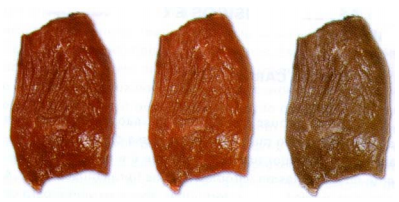 O que significa a cor da carne?