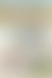 Avanços na cadeia produtiva dos jumentos