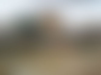 Coronavírus: doenças que passam de animais ao homem aumentam sem proteção ao meio ambiente