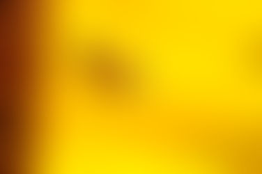 Terapia com própolis é oportunidade de negócio para apicultores