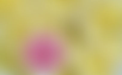 Qual a relação entre nutrição e imunidade?