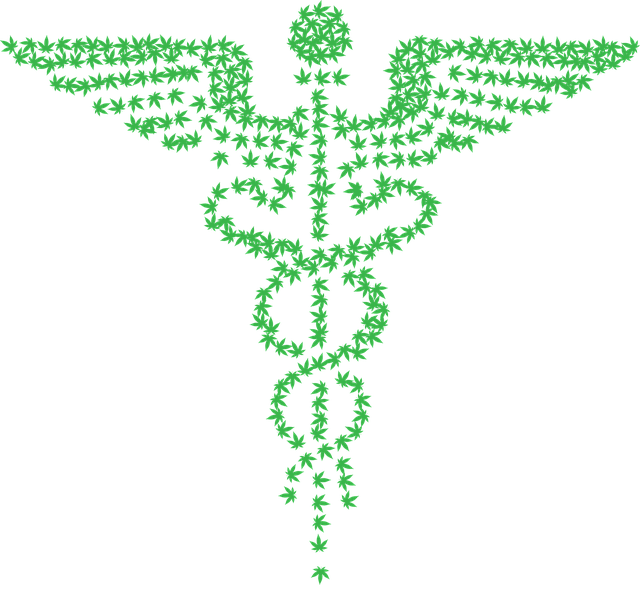 Cannabis deve ter produção medicinal regulamentada em 2019