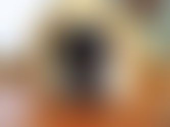 Projeto quer autorizar telemedicina veterinária durante a pandemia