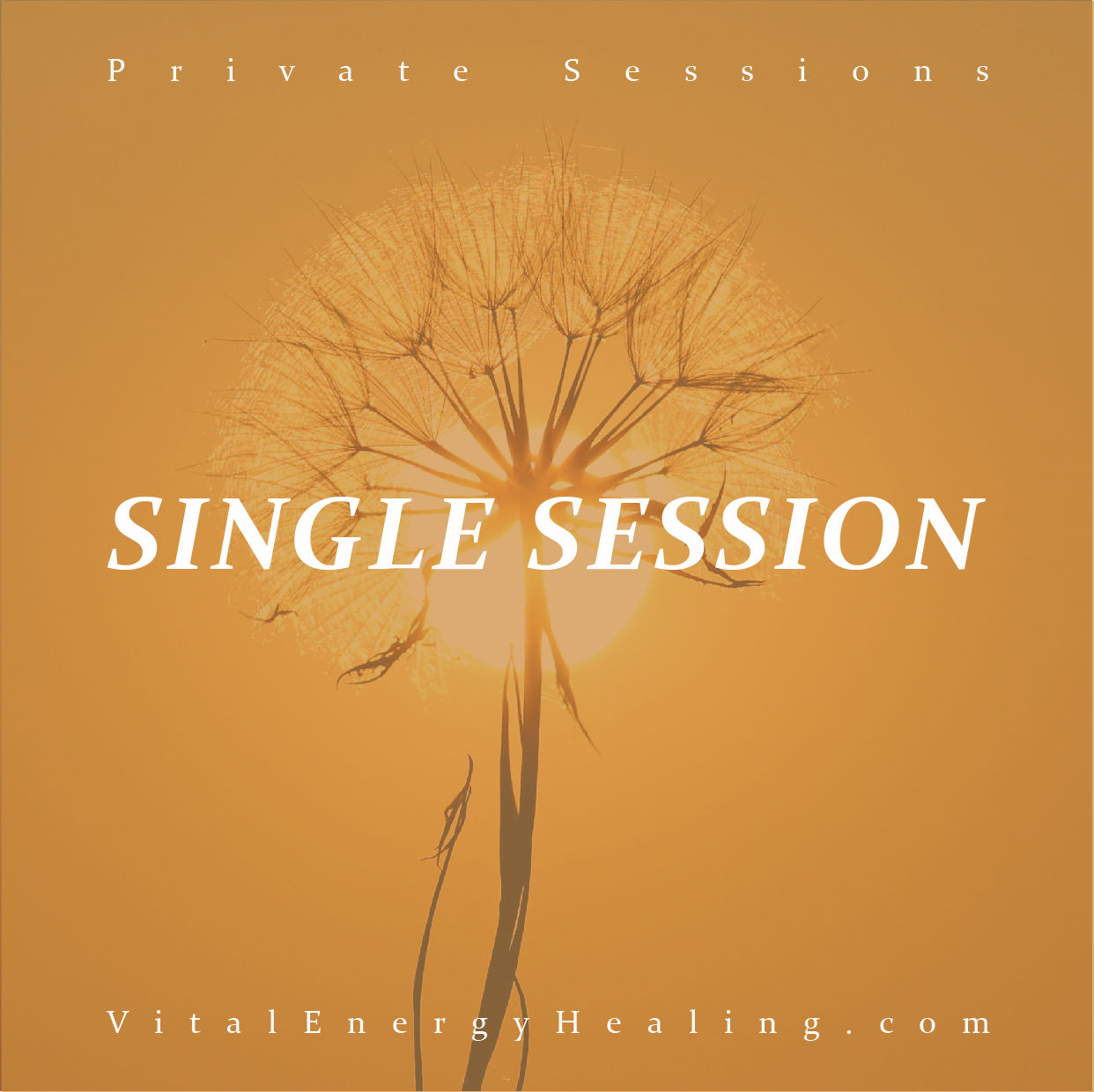 Crystal Healing Single Session