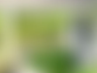 Joy of the Day, Day 55: Outdoor Spaces