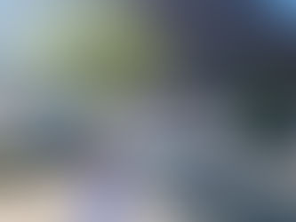 Joy of the Day, Day 18: Strolls and Scooters