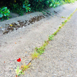 June 16, 2018: Outlier