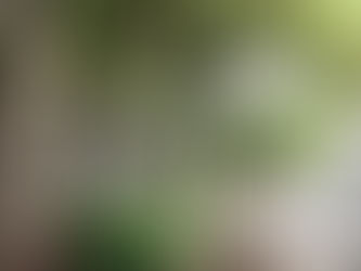 Joy of the Day, Day 31: Home, Part 2