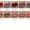 Миниатюра: Gerard Cosmetics Hydra Matte Liquid Lipstick