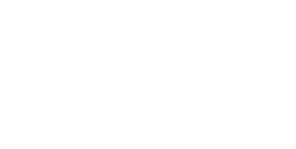 Asset 1.png