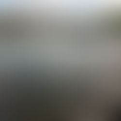 Hechtangeln in der Limmat: Spots in Zürich Stadt, Köder und Regeln 2026