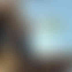 Innere Organe eines Fisches