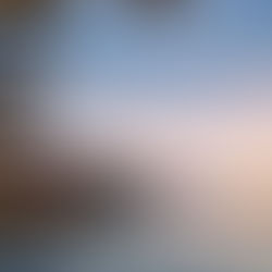 Fischen am Zugersee: Egli, Hecht und Zander vor den Alpen