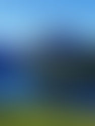 Fischen Wägitalersee – Ein Paradies für Angler in der Schweiz