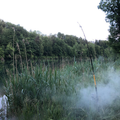 Rute in Halterung am Fluss