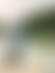 Welche Angelrute ist für mein Kind passen?