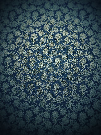 BACKGROUND-01.jpeg