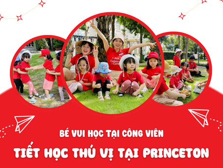 Children Enjoy Outdoor Learning at the Park: A Fun Lesson at Princeton Academy Premier International Kindergarten