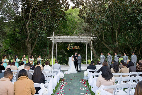 wedding photo.jpeg