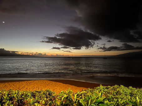 Day 7- Luau