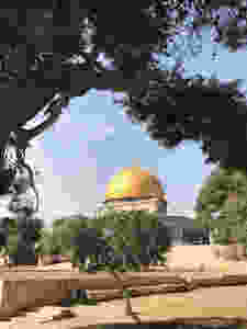 Palestine