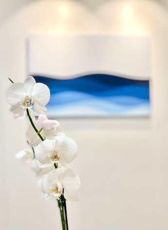 Orchid.jpeg