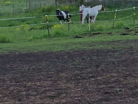 Stormy Update — Living Her Best Life -Update #3