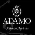 ADAMO BIO 29 MAGGIO