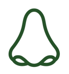 senses_icons_green-05.png