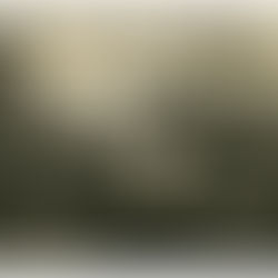 (NE)ŽINOMA ŠIAULIŲ ISTORIJA (8): MOKYKLA TARPUKARIU